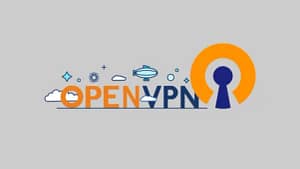 Блок конфигурации с параметрами, определяющими поведение OpenVPN-сервера