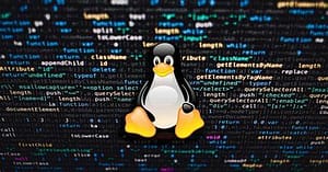 Проверка LAN в командной строке Linux