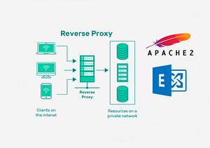 Работа WordPress через прокси-сервер apache2